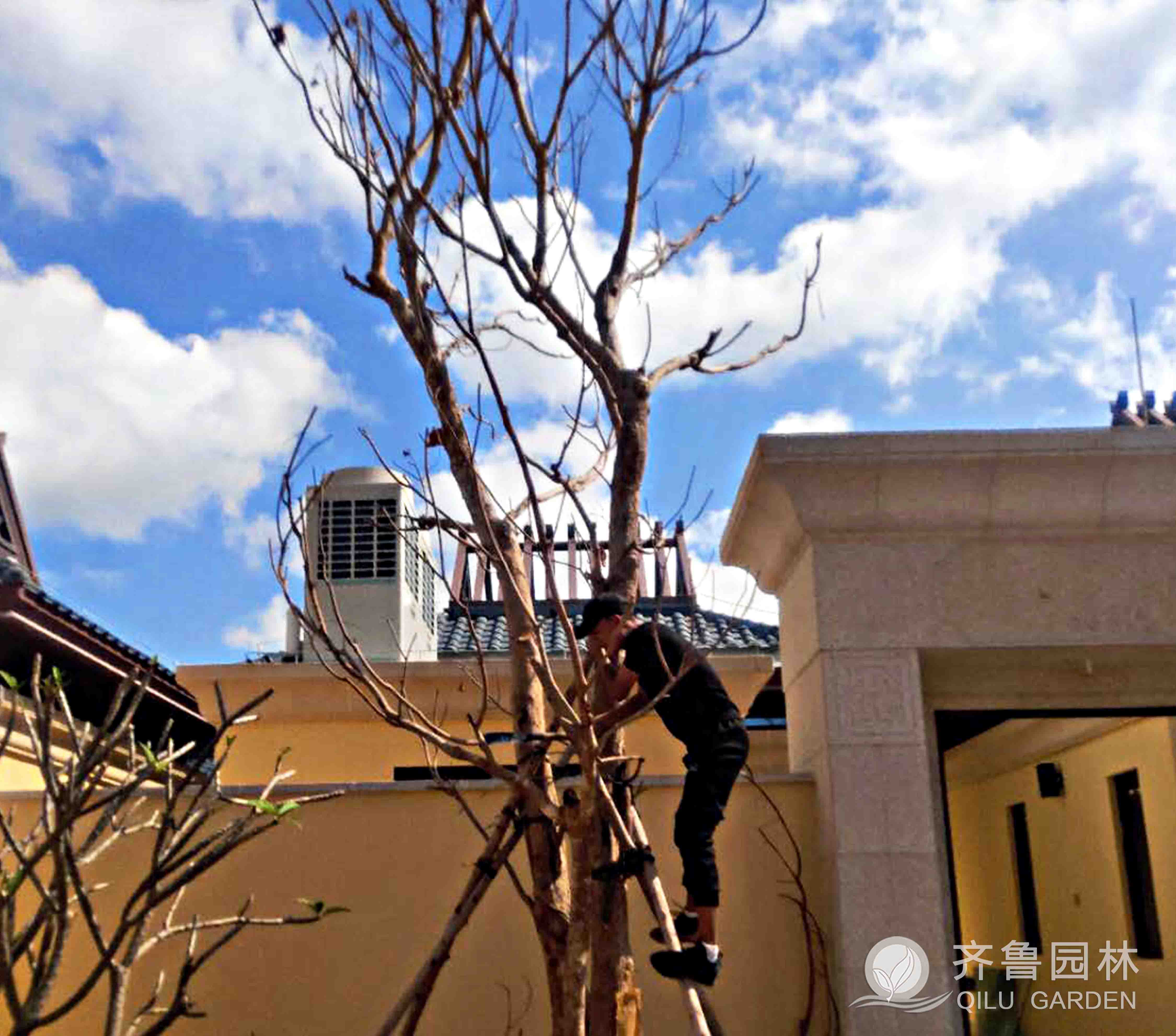 ������ʱ��(�й���)�������ǲ�!