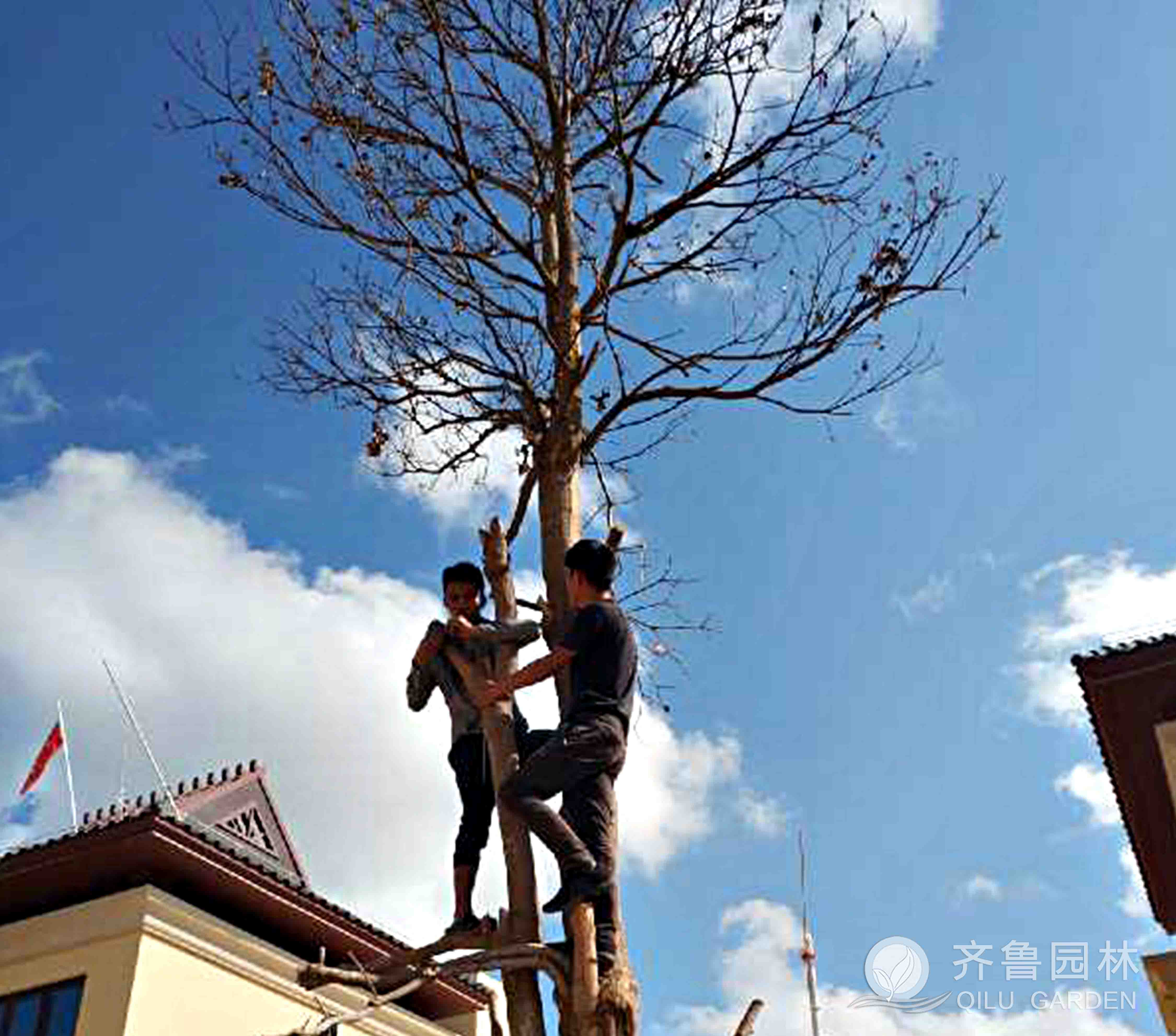 ������ʱ��(�й���)�������ǲ�!