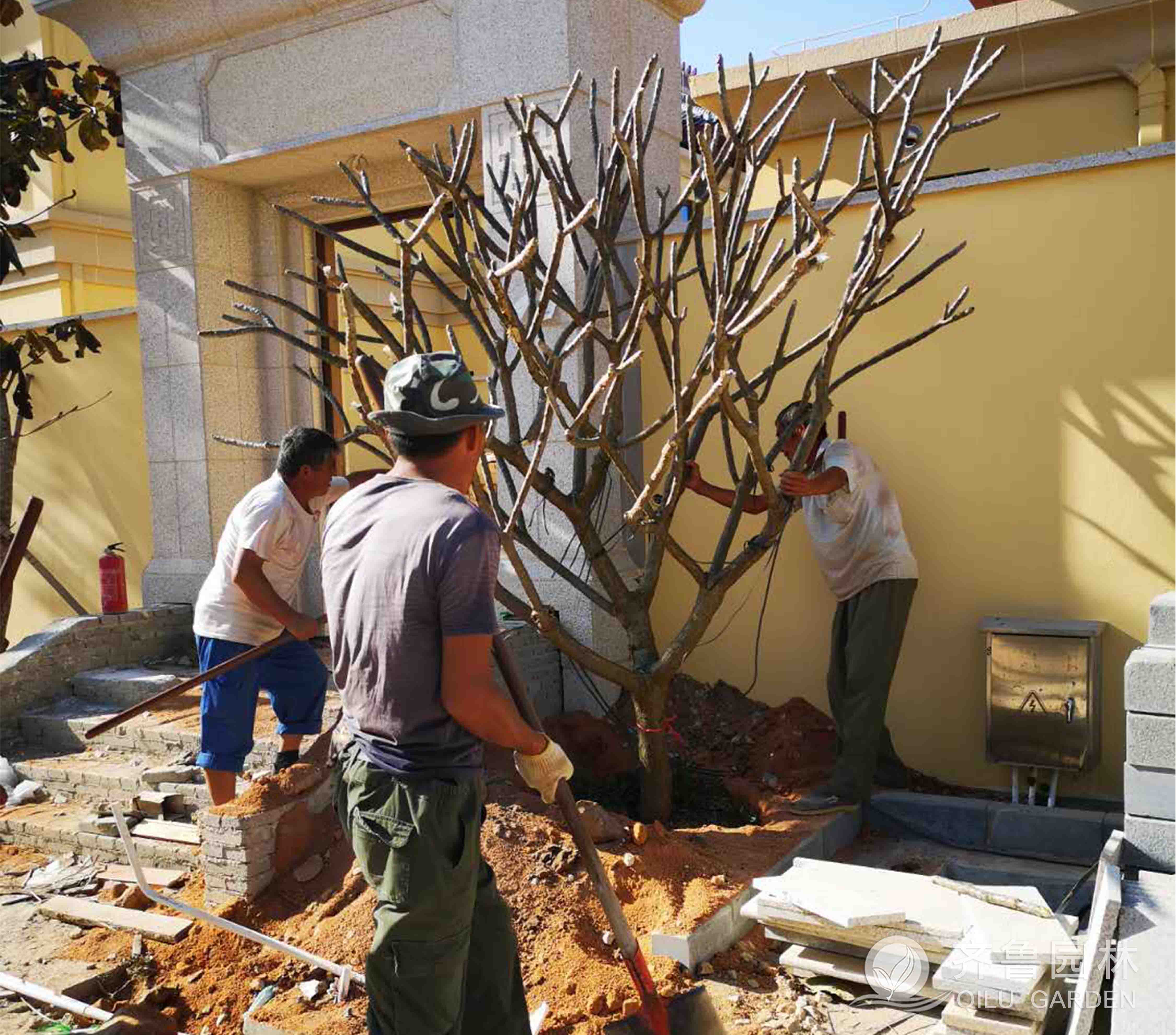 ������ʱ��(�й���)�������ǲ�!