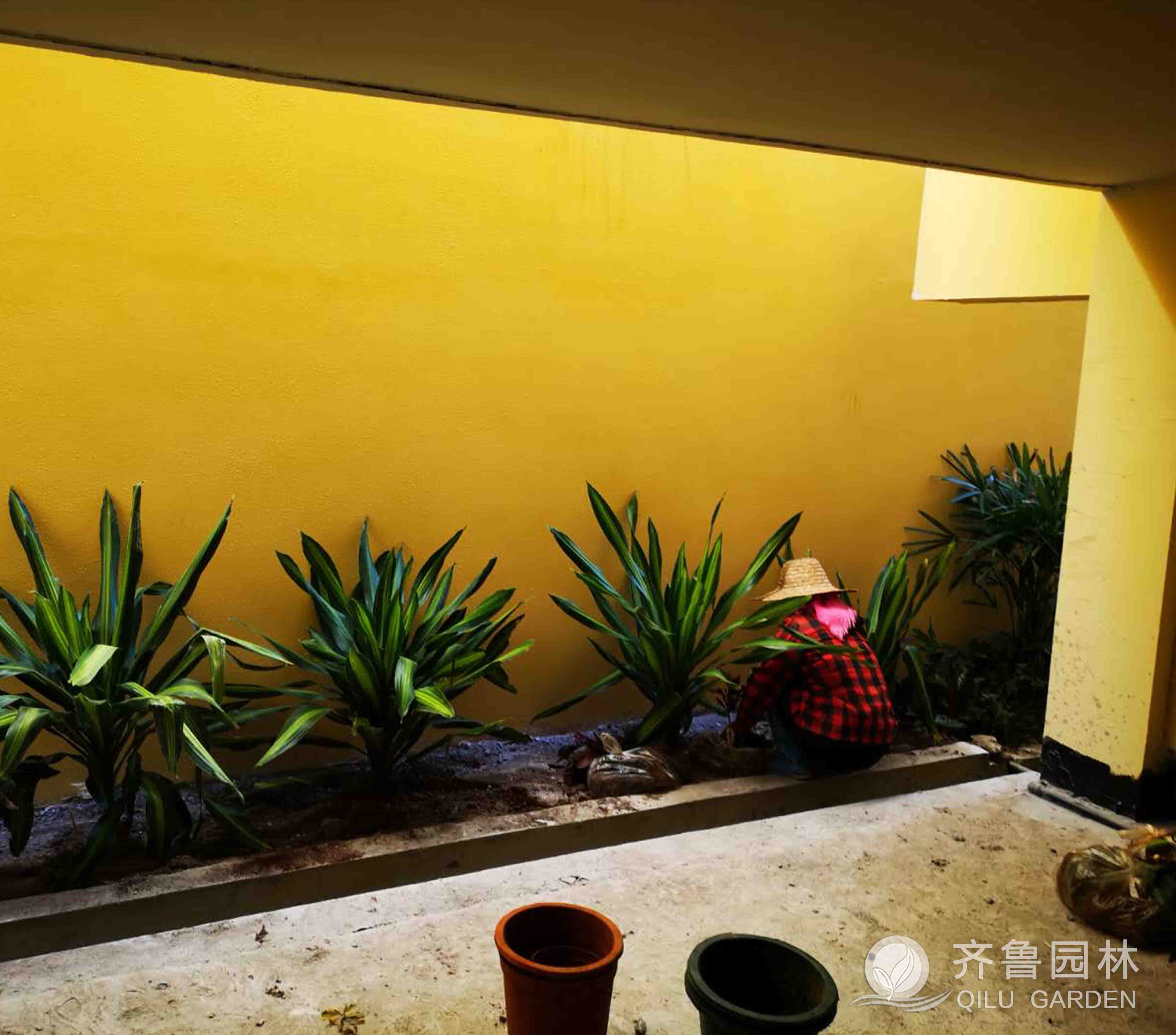 ������ʱ��(�й���)�������ǲ�!