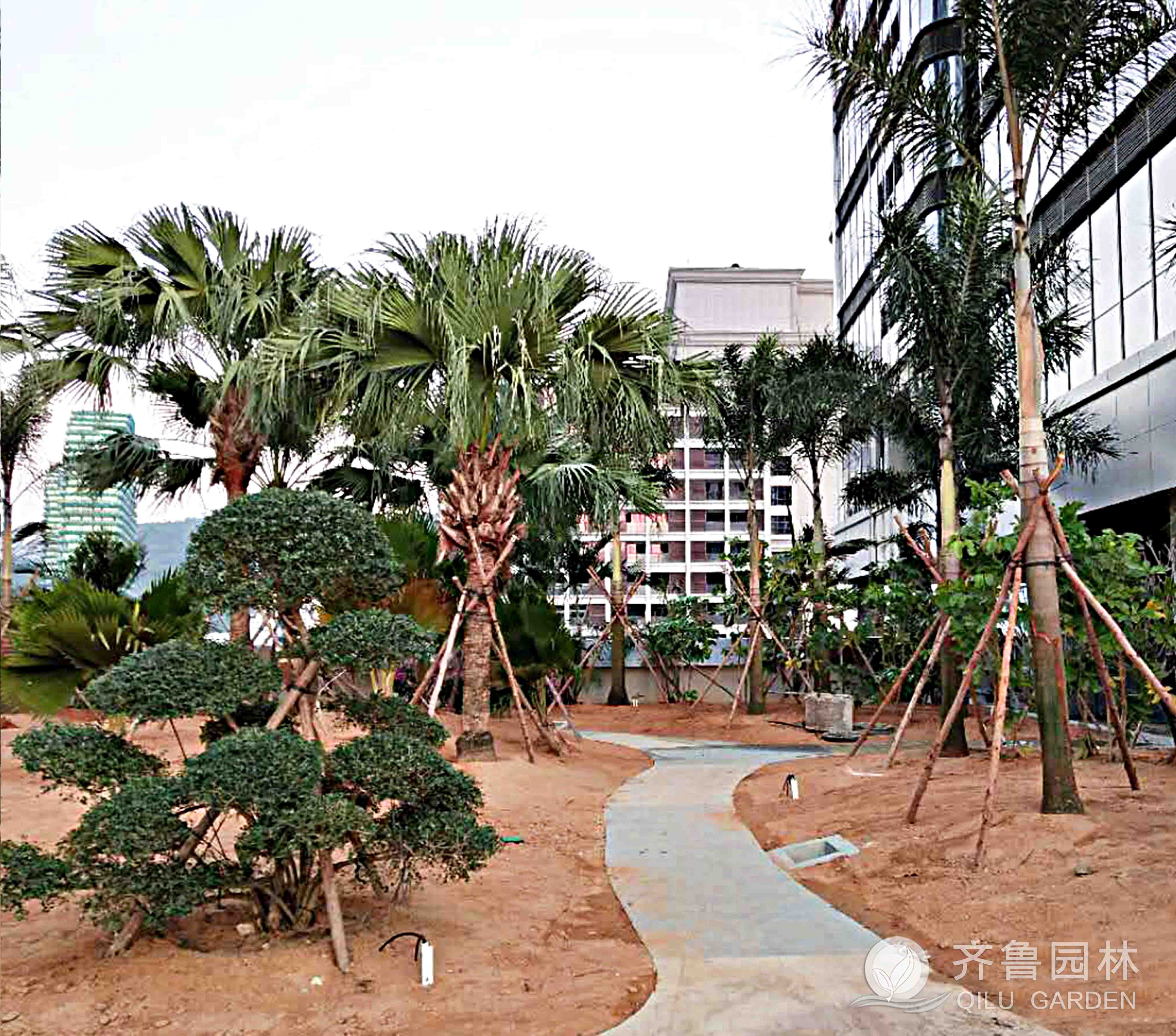 ������ʱ��(�й���)�������ǲ�!