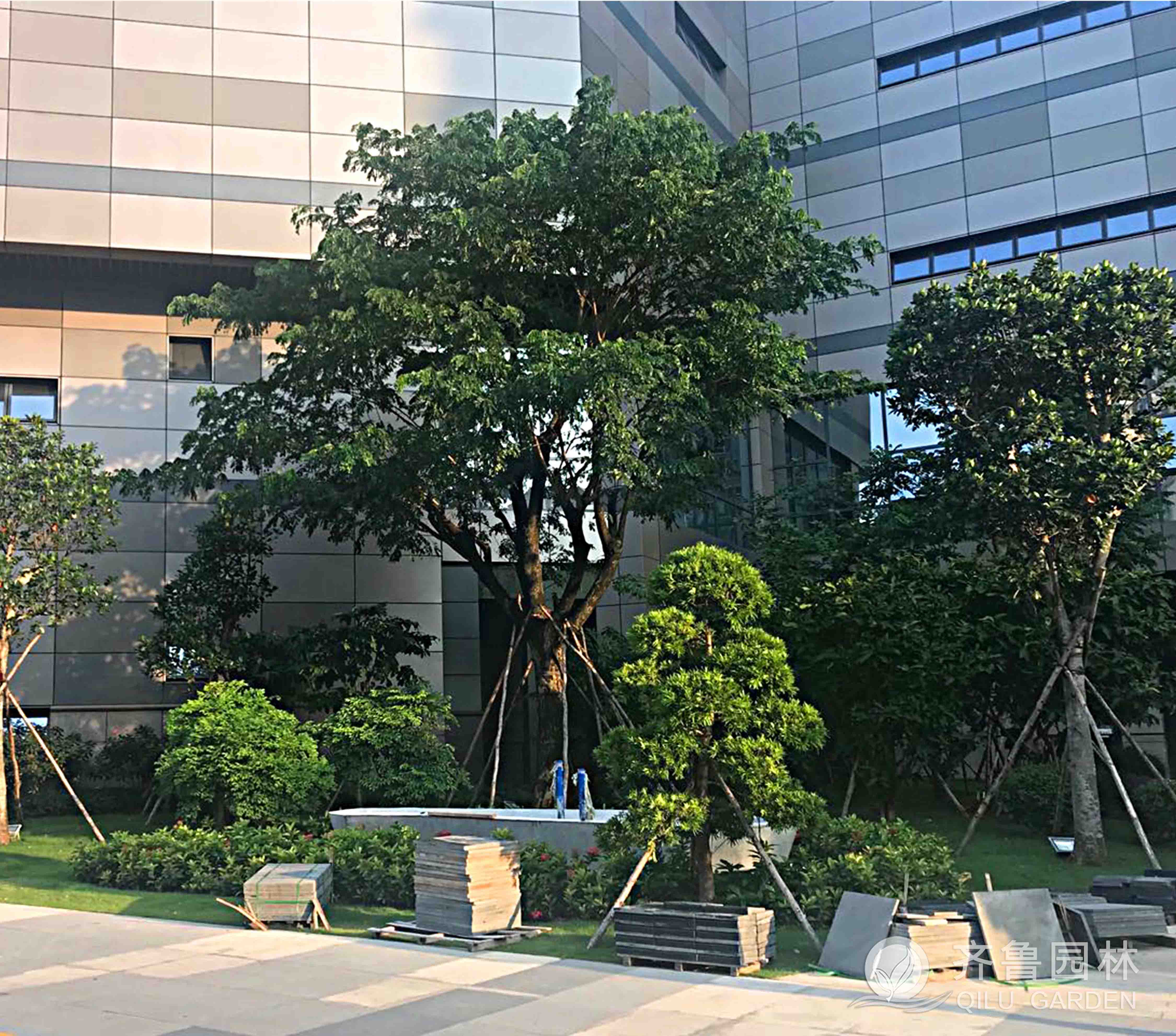 ������ʱ��(�й���)�������ǲ�!