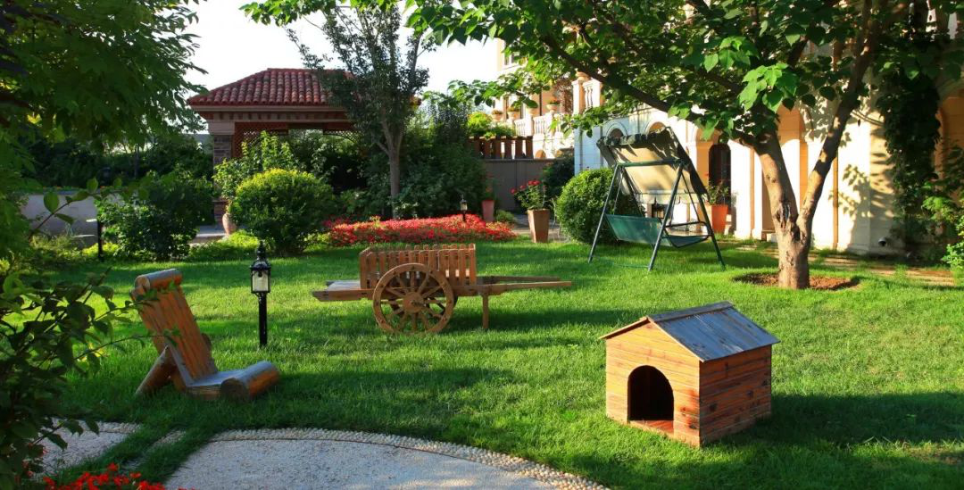 ������ʱ��(�й���)�������ǲ�!