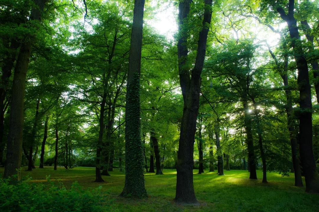 ������ʱ��(�й���)�������ǲ�!